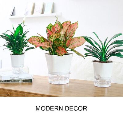 极速Home Decor Garden Self Watering WickKing Double Layer Fl