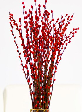极速银柳真花鲜枝年宵花r卉红色乾燥花福桶银柳水培植物雪柳客厅