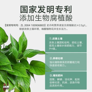 极速史丹b利营养液花肥室内盆栽植物通用型肥料水培发财树花卉绿
