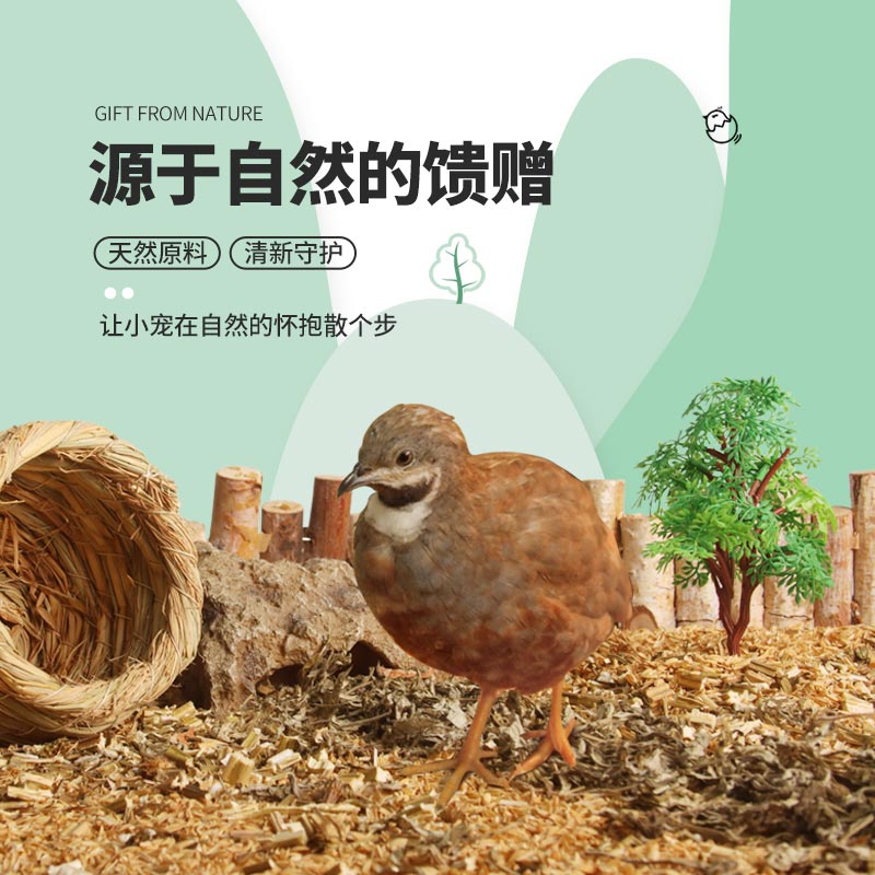 极速芦丁鸡c垫料稻壳除臭发酵防臭卢丁鸡鹌鹑鸭子小鸡垫材造景用