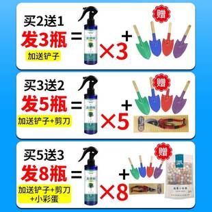 极速龙血树专f用肥料龙须树黄叶怎麽办发财树通用控释肥黑腐枯叶
