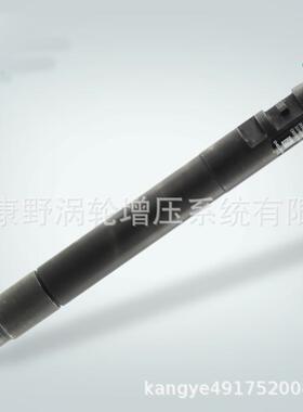 原装德尔福喷油器R00101DP EMBR00101D 1980L3 9M5Q-9F593-BA