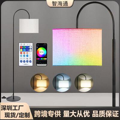 跨境热销LED落地灯客厅高级感RGB调光弯头落地灯卧室床头落地灯