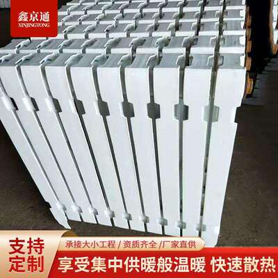WSTZ-2-6-8铸铁暖气片集中供暖家用水暖散热器集中供暖工程暖气片