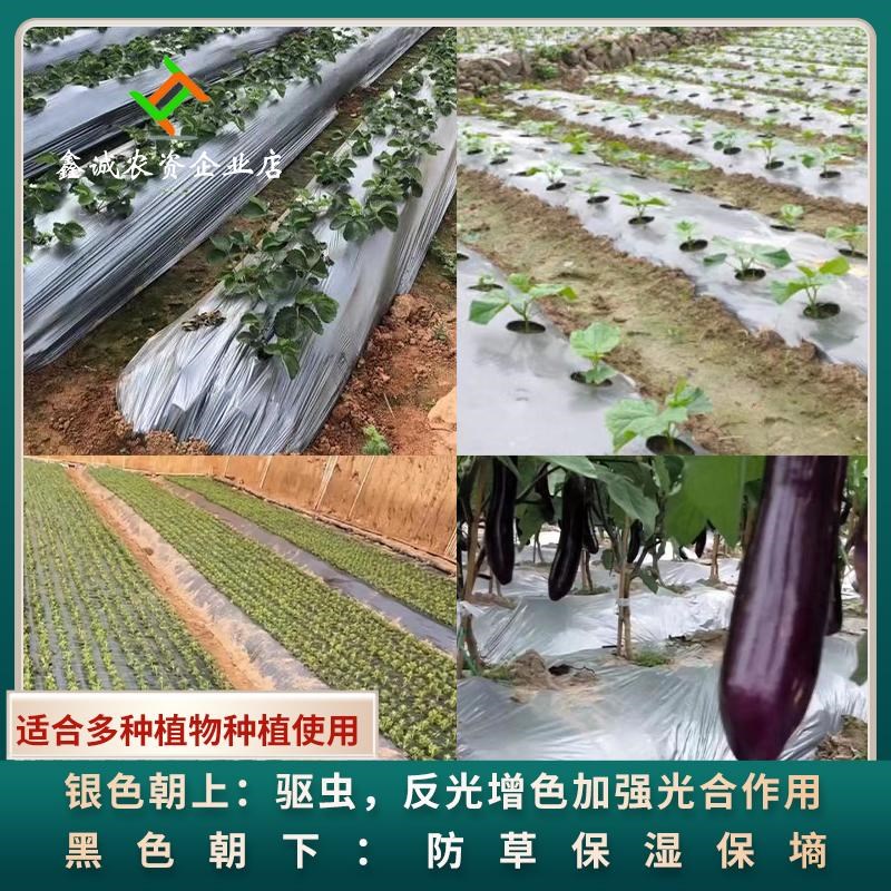 热销免打孔地膜农用打孔有孔除草黑地膜银黑双色反光Y种菜专用带