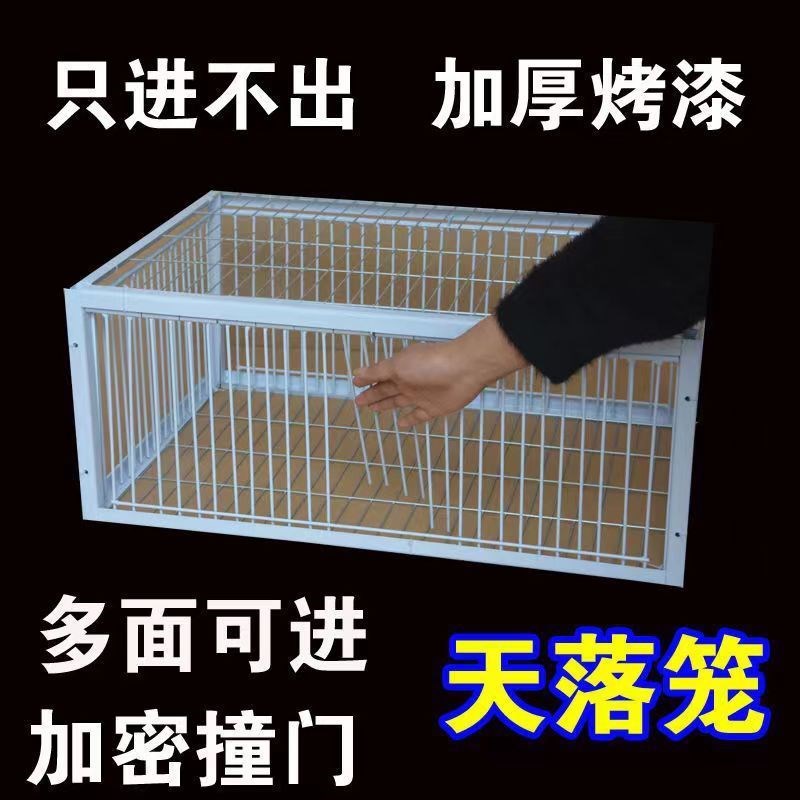 热销鸽子笼只进不出自动收鸽x子神器天落笼收鸽笼活络门撞门笼抓图片