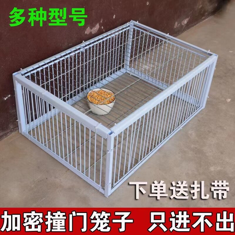 热销新款天落笼鸽子笼加厚加密自动收鸽子神器活R络门撞门只进不图片