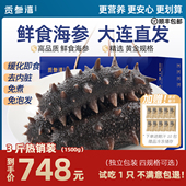 贡参湾即食海参1500g辽刺参独立包装 袋大连野生3斤年货春节送礼盒