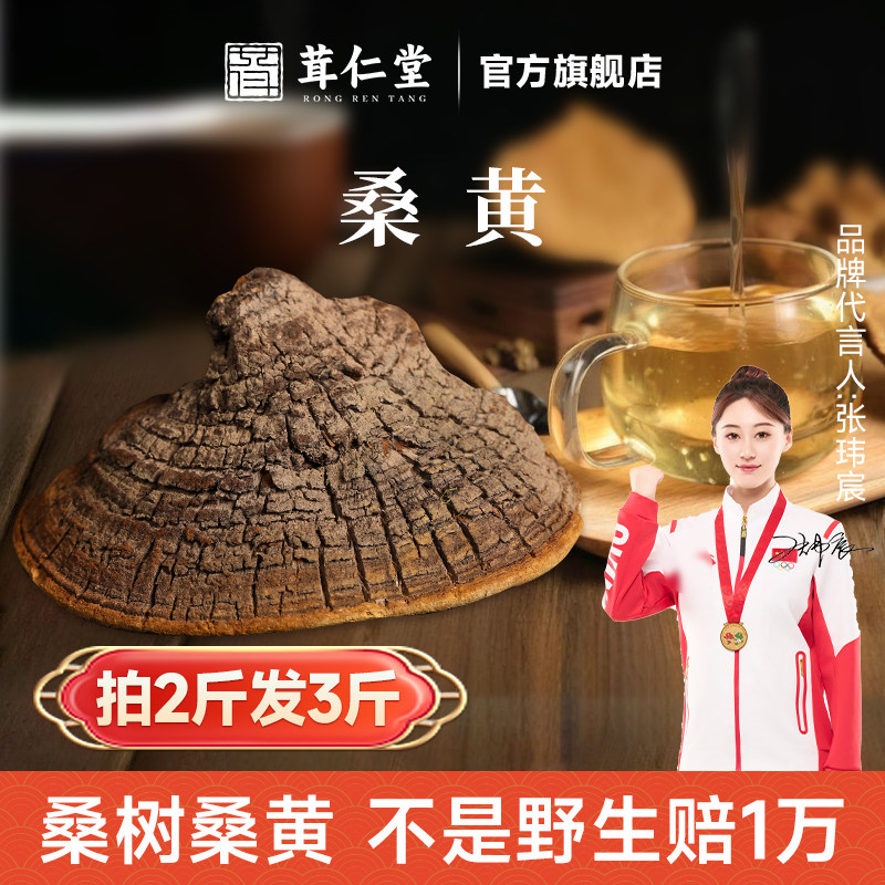 长白山野生桑黄250克旗舰店