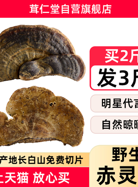 长白山正宗野生赤灵芝整枝林芝250g可切片非灵芝孢子粉拍2斤发3斤