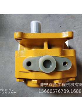 现货山推SD13SD16SD22SD32转向泵行走泵齿轮泵工作泵