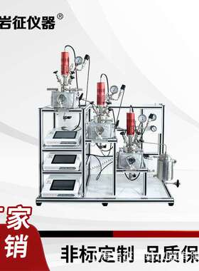 岩征仪器 三釜溢流CSTR 反应器厂家 厂家直销
