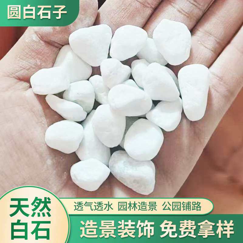 多肉铺面装饰造景白色小石子白色鹅卵石白碎石白色砾石机制白石子