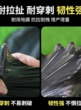 地膜农用种植加厚果园土地塑料大棚蔬菜草莓种菜蔬菜保温黑色薄膜