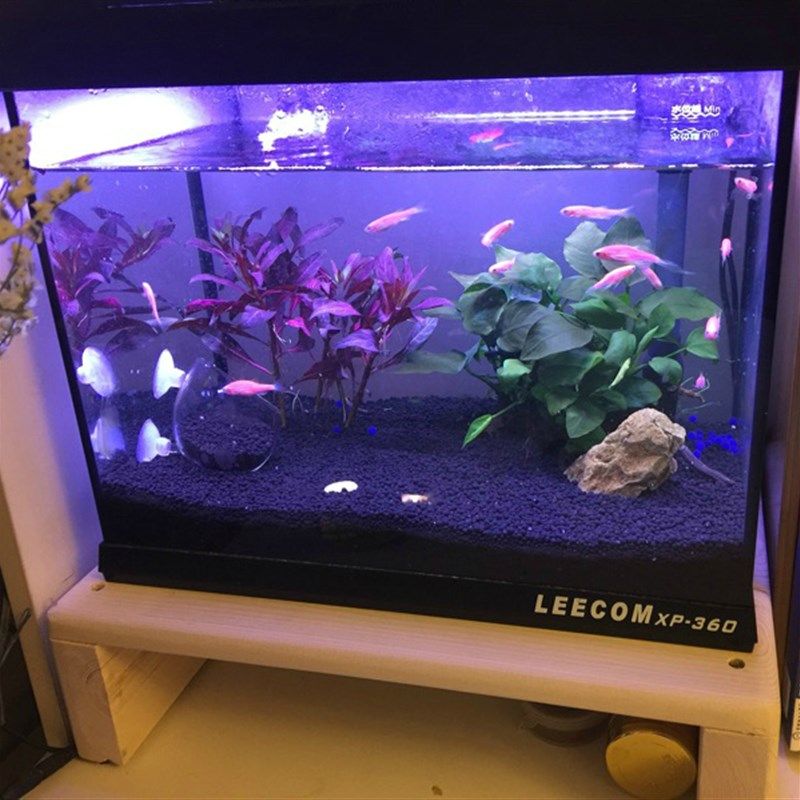 脚踏凳垫脚凳搁脚凳脚蹬办公室台阶脚踏踩脚凳搁脚垫脚神器脚踏板,童装/婴儿装/亲子装,儿童装饰手表,淘宝优惠券,粉丝福利购,淘宝优惠卷