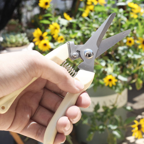 家用园艺花艺剪盆栽绿植不锈钢剪刀多肉树枝剪果园果树工具花卉剪