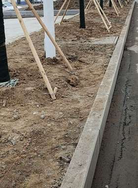 d树木支撑杆大i热固定器铁树箍绿化行道树J苗木支撑架抱镀锌绿色