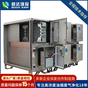 厂家直销DINP烟气净化器工业制造业废气处理器按键吸附油雾净化器