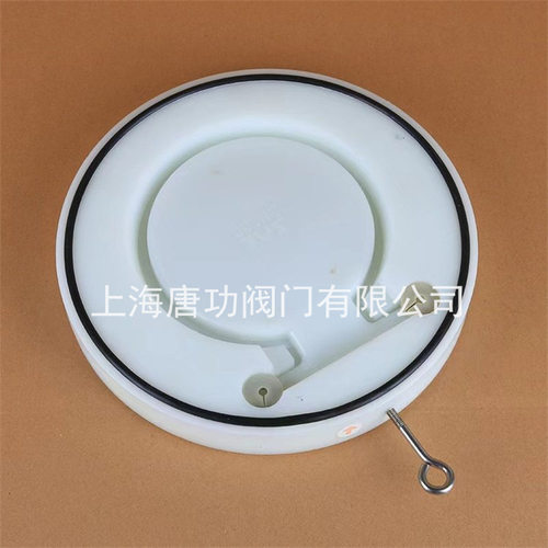PVDF单片式止回阀PVDF塑料板式翻板对夹式逆止阀单向阀H47X-10S