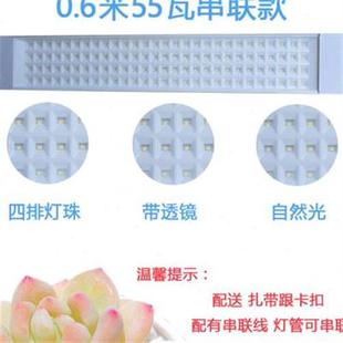极速植物生长灯补光灯上色自然z全光谱仿太阳照光培育苗灯多肉专