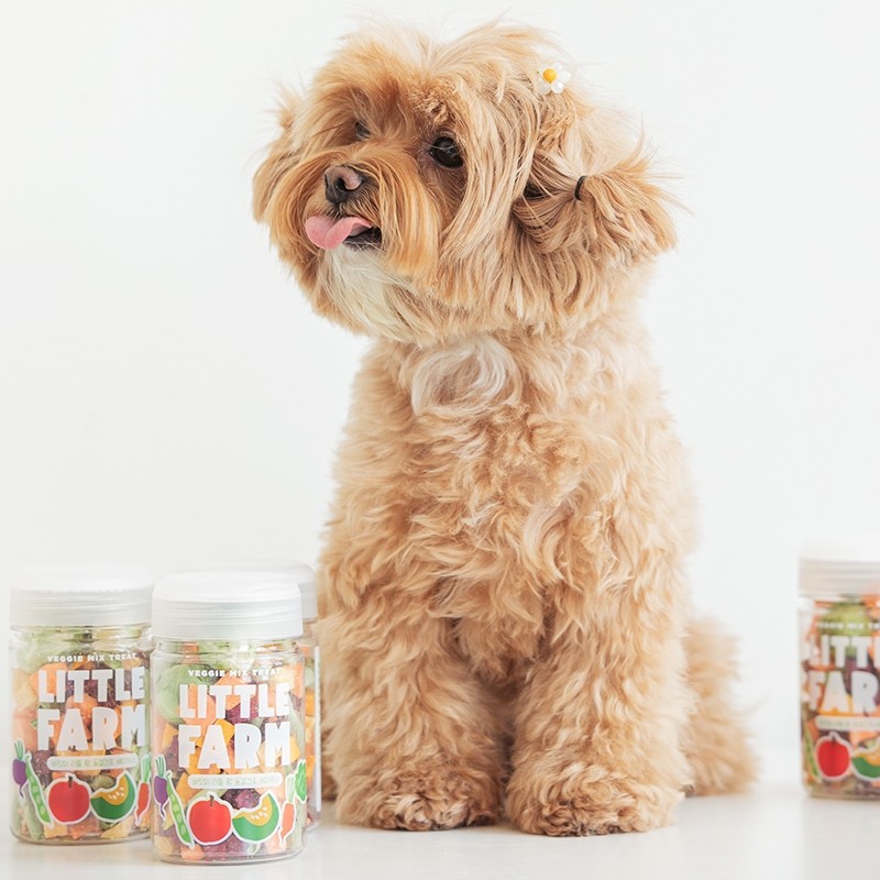 极速现货1~进口BM宠物猫狗胡萝H卜水果蔬菜冻干零食30g