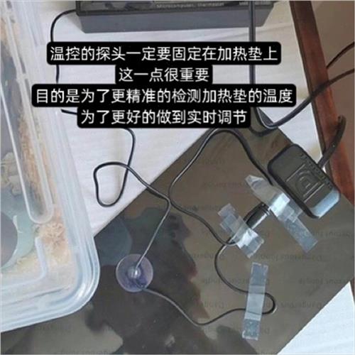 极速爬宠温控加热垫蜥蜴蛇爬虫箱守宫盒蜘蛛N角蛙仓鼠加温垫保温