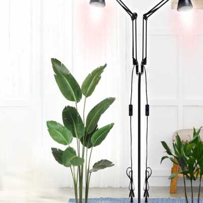 新品全光谱e水草植物补光灯泡多肉生长仿太阳室内小型花卉苔藓墙l图片