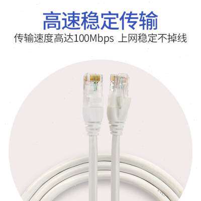 极速家用成品五类宽带10十米电脑网线连接线双头1/15/20Y/30米网