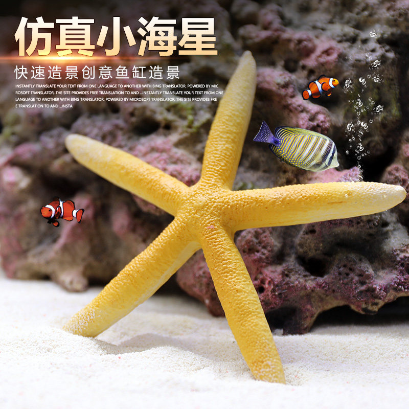 新品仿真海星g鱼缸造景海螺小摆件水族箱微景观装饰品可爱贝壳海