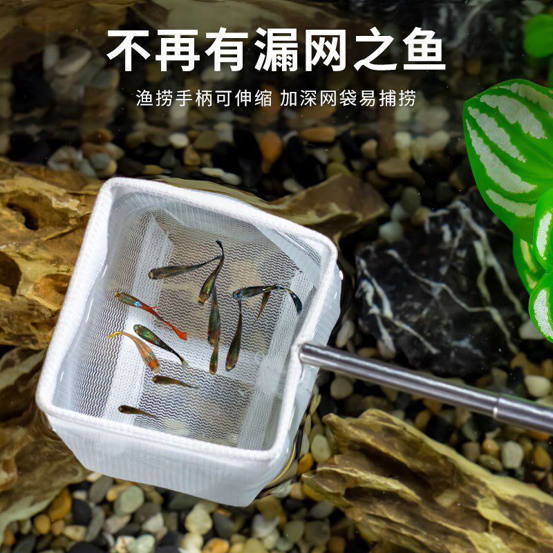 新品鱼捞捞鱼网鱼缸网捞不锈钢可伸缩3d抄网兜密网观X赏鱼手抄鱼