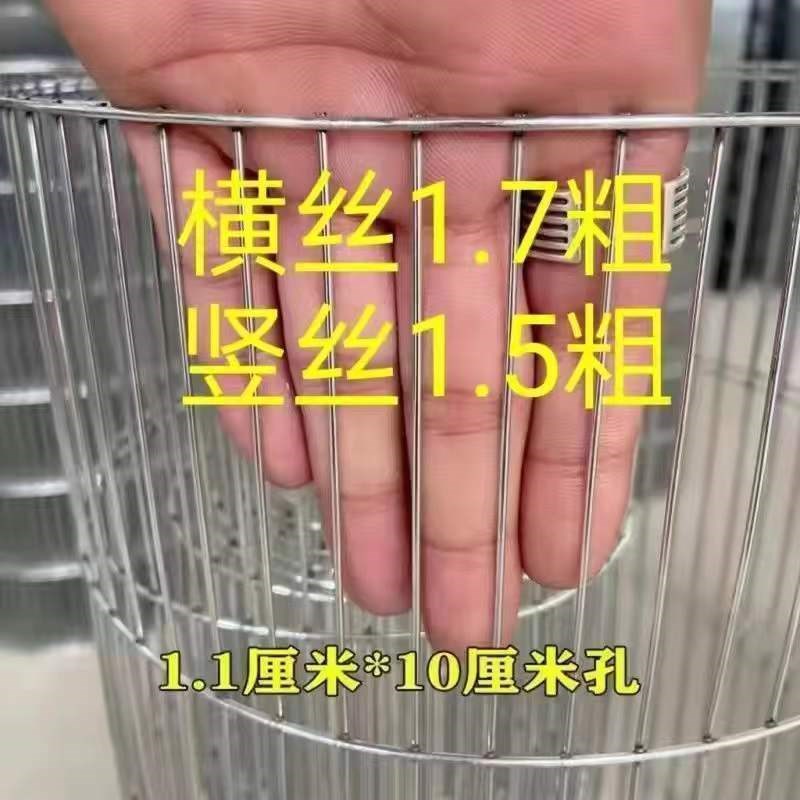 镀锌鸟笼网鹌鹑网铁丝网钢丝网养殖D网养殖场养鸡铁丝钢丝养殖围