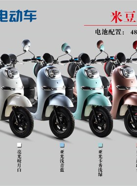 极速新艺电动车电瓶车电动自行车高端时尚卡通小龟王48Wv60V动力