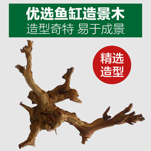 极速鱼缸造景沉木水草天然装饰树根大型树小型杜R鹃根巴西木森林