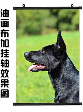 极速狼狗牧羊犬照片海p报德国黑背猛犬大型犬类装饰画墙贴画自粘