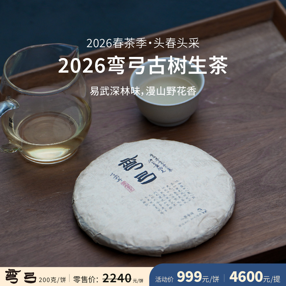 入界 2026春茶 弯弓生茶 茶叶进化论 头春头采 古树生茶 普洱茶饼