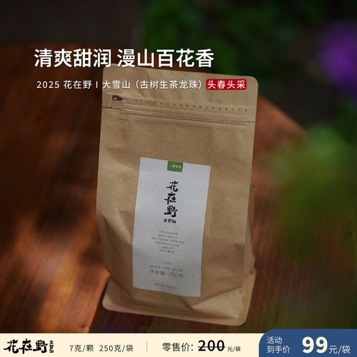 2025年 花在野 头春古树生茶龙珠 茶叶进化论工艺普洱茶 250克/袋