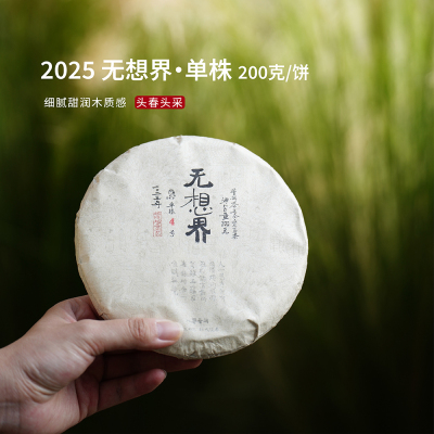 入界 2025无想界单株 无量山 茶叶进化论头春头采普洱生茶200克饼