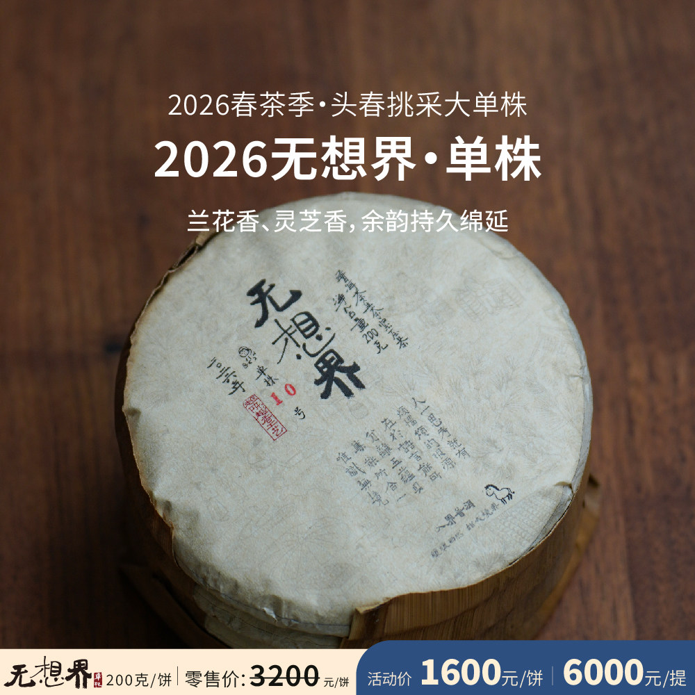 入界 2026 无想界单株 李扬老师茶叶进化论工艺 头春挑采大单株