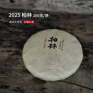 入界 2025柏林 普洱无量山 茶叶进化论头春头采普洱生茶200克饼