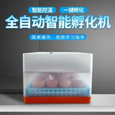 现货速发爆品小鸡鹅蛋孵化箱孵蛋孵化器小型家用型水床孵化机全自