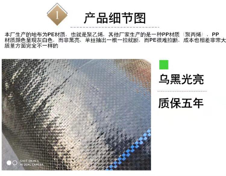 速发防草布除草布耐用果树农用防杂草大棚园艺地色PE步黑透气渗水