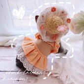 速发小帽仙花拍泡泡纱小猫咪泰迪布偶风朵照道具