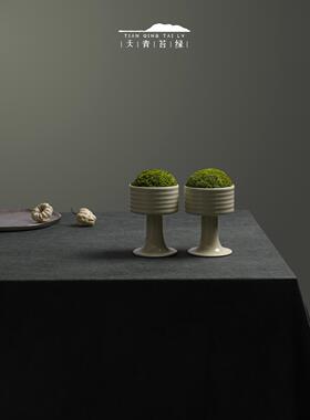 天青苔绿 陶瓷永生苔藓精致青苔摆件 样板间酒店会所茶室桌面饰品