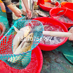 极速赶海网兜河里捞鱼p网捞鱼网斗潜水用网兜鱼网捞鱼网密网小网