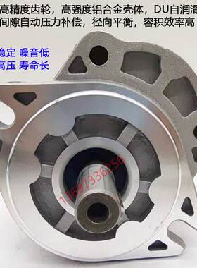 极速合肥赛源齿轮泵CBW-F306 310 314 316 G304 E320-CFP ALP CLP