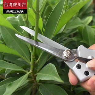 极速台湾佐川吉 k328加长刃果树修枝剪摘果剪修叶稀果剪采摘树枝