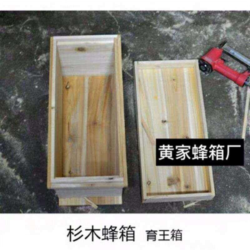 极速蜂箱 诱蜂h箱 中蜂箱 交尾箱小型蜂箱育王箱养蜂工具 可以全