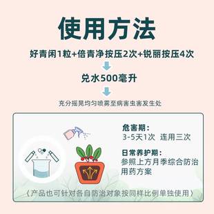 病虫害常用红蜘蛛植物菌病常见R虫害组合实惠套 月季 极速月季 套装