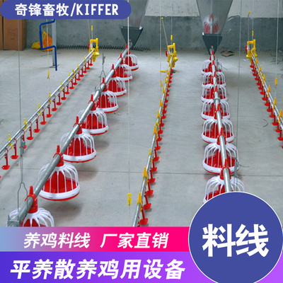 极速养鸡场鸡舍全套养鸡设备用品C喂鸡神器自动水线料线养鸡饮水