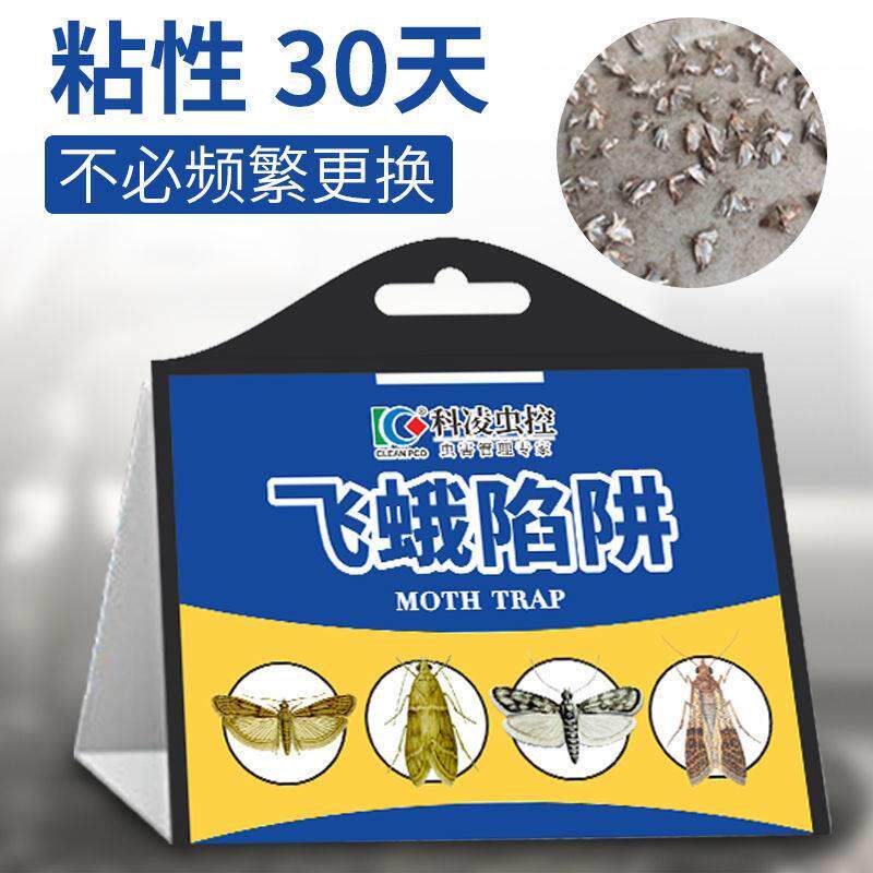 极速科凌虫控飞蛾诱捕器各种粘面家F用厕所小飞虫飞虫捕捉器蚋蠓